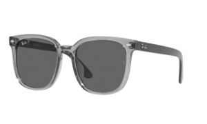 Ray-Ban 0RB4401D-659981
