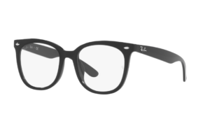 Ray-Ban 0RX4379VD-2000