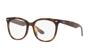 Ray-Ban 0RX4379VD-2012