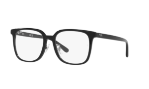 Ray-Ban 0RX5419D-2000