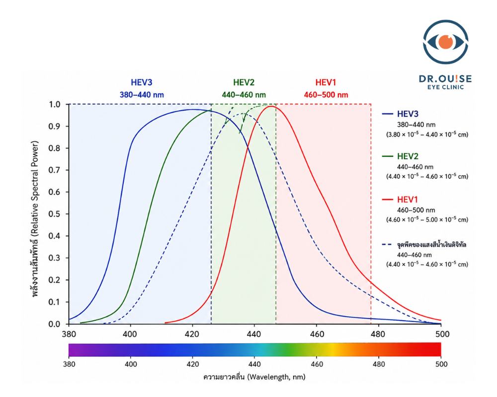 อัปเดตเลนส์แว่นตา Meiryo Control Coating จาก Hoya ในปี 2026