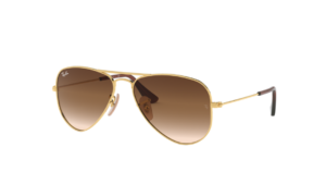 Ray-Ban 0RJ9506S-223/13