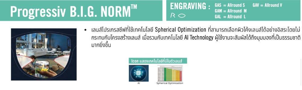 Rodenstock Progressiv B.I.G. NORM